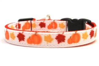 The Pumpkin Pie Breakaway Cat Collar