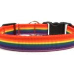 Rainbow Breakaway Cat Collar