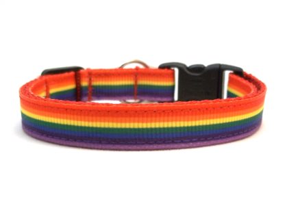 Rainbow Breakaway Cat Collar