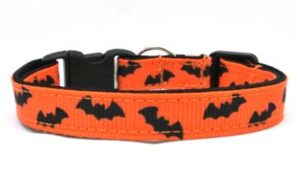 Going Batty Halloween Breakaway Cat Collar