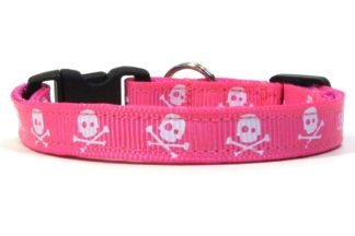 The Jolly Roger Breakaway Cat Collar