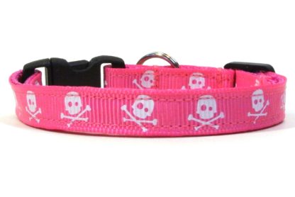 The Jolly Roger Breakaway Cat Collar
