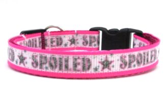 The Spoiled Rotten Breakaway Cat Collar