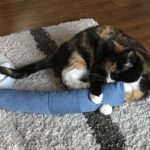 Toys For An Energetic Cat