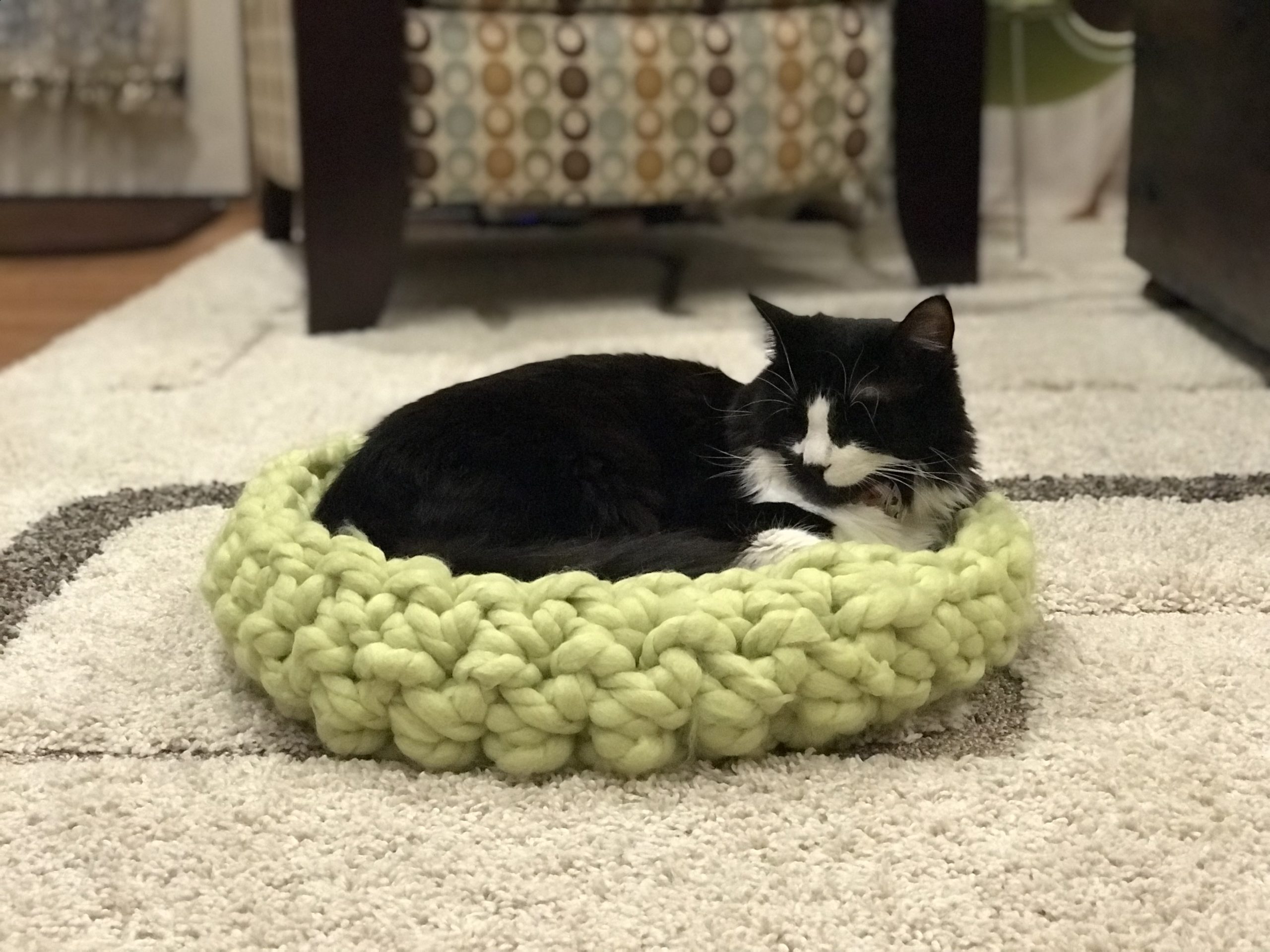 Cat Bed