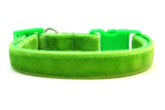 The Posh Velvet Breakaway Cat Collar