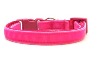 Personalized |Luxury Breakaway Cat Collars | Swanky Kitty