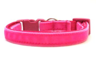 The Posh Velvet Breakaway Cat Collar