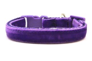 The Posh Velvet Breakaway Cat Collar