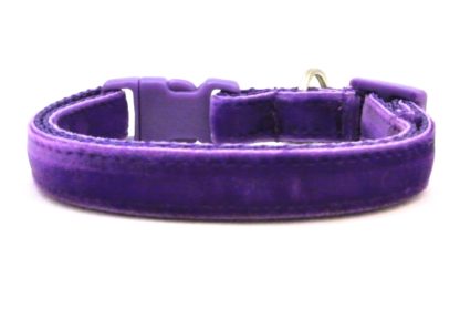 The Posh Velvet Breakaway Cat Collar