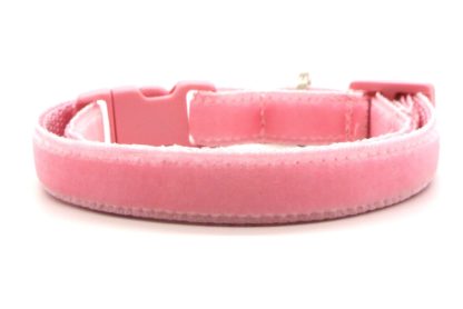 Light Pink Velvet Breakaway Cat Collar