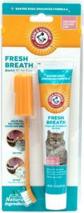 Brush your cats teeth