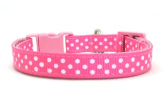 Colorful Dots On Black 3/8 Inch Wide Breakaway Safety Buckle Polka Dots Kitten or Cat Collar 2 Sizes Adjusts 6 to 8.5 or 7.5 to 12 Inches Cat - 7.5 to 12 Inches 