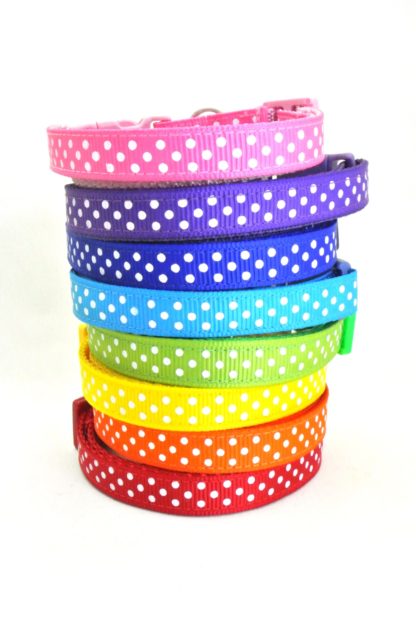 Polka Dot Breakaway Cat Collars